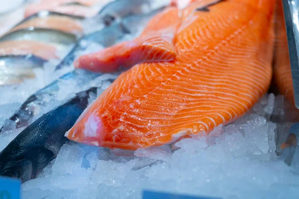 Biologische Wilde Schotse Rode Vis Zalm Gereinigd Ijs Markt — Stockfoto