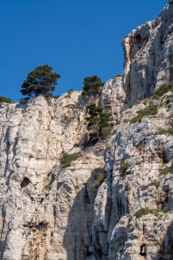 Calanques Ulusal Parkı, Provence, Fransa 'da Akdeniz çam ağaçları beyaz kireçtaşı kayalar ve uçurumlar üzerinde büyüyor