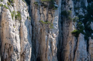 Calanques Ulusal Parkı, Provence, Fransa 'da Akdeniz çam ağaçları beyaz kireçtaşı kayalar ve uçurumlar üzerinde büyüyor