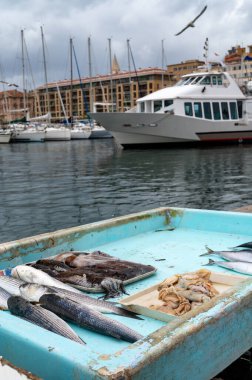 Marsilya, Provence, Fransa 'daki günlük balık pazarında günün avı. Çeşit çeşit taze balık..