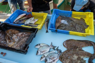 Günün avı, Cassis, Provence, Fransa 'daki küçük eski limandaki balıkçı pazarında günlük taze balık satışı.