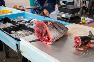 Marsilya, Provence, Fransa 'daki günlük balık pazarında günün avı. Koca kafalı kılıçbalığı..