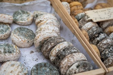 Cassis, Provence, Fransa 'da çiftçi pazarında küflü olgun Fransız keçi peynirleri