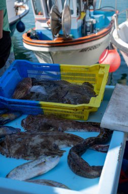 Günün avı, Cassis, Provence, Fransa 'daki küçük eski limandaki balıkçı pazarında günlük taze balık satışı.