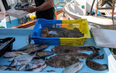 Günün avı, Cassis, Provence, Fransa 'daki küçük eski limandaki balıkçı pazarında günlük taze balık satışı.