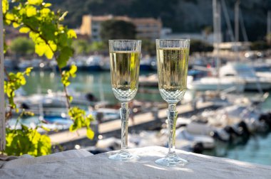 Yazın doğum günü kutlaması iki bardak Fransız şampanyası köpüklü şarap ve renkli balıkçı tekneleriyle Cassis, Provence, Fransa 'daki eski limanda.