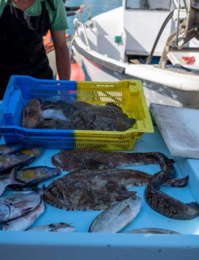 Günün avı, Cassis, Provence, Fransa 'daki küçük eski limandaki balıkçı pazarında günlük taze balık satışı.