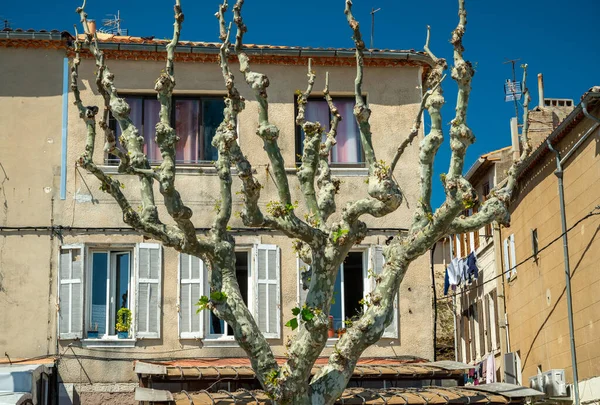 南フランスの晴れた日 古代プロヴィンス沿岸の町ラ シオタ プロヴァンス フランス 夏の休暇先を歩く — ストック写真