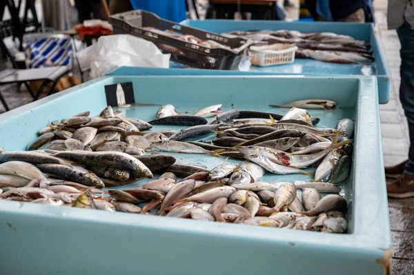 Catch Day Sale Daily Fish Market Old Port Marseille Provence — 스톡 사진