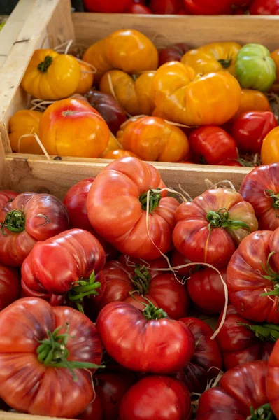 Colorato Francese Pomodori Maturi Gustosi Assortimento Sul Mercato Provenzale Cassis — Foto Stock