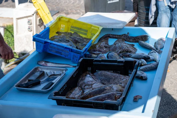 Vangst Van Dag Verse Vis Koop Dagelijkse Buitenvismarkt Kleine Oude — Stockfoto