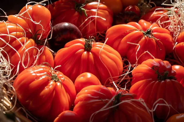 Färgglada Franska Mogna Välsmakande Tomater Sortimentet Provensalska Marknaden Cassis Provence — Stockfoto