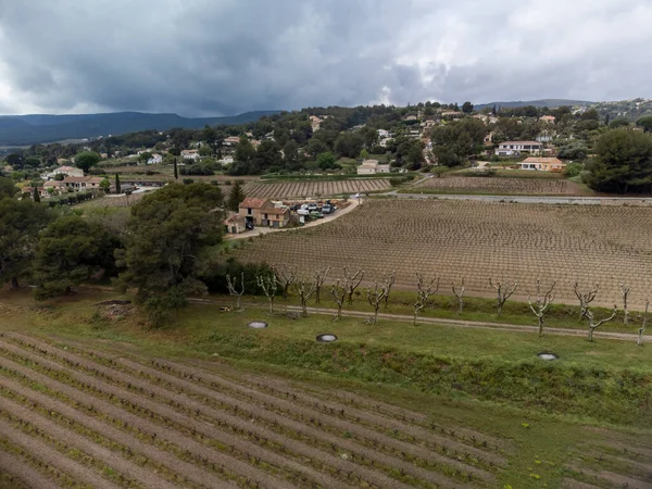 バンドルワイン製造地域 プロヴァンス 春の南フランスのブドウ畑の植物の行の空中パノラマビュー — ストック写真