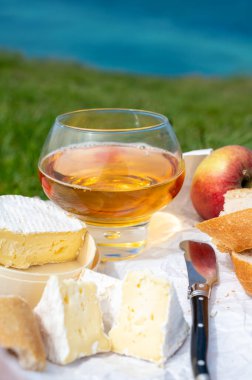 Etretat 'ın tebeşir kayalıklarında yeşil çimen tarlalarında öğle yemeği, Fransız peynirli camembert peyniri, taze fırında baget ve elma şarabı, arka planda mavi Atlantik okyanusu, Normandiya, Fransa