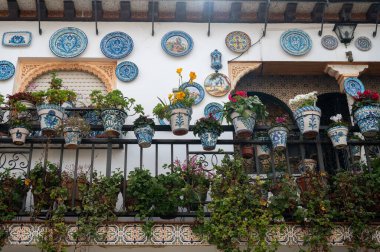 Bahar ayında eski dünya mirası şehri Granada, Endülüs, İspanya 'da yürüyüş