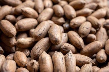 Kavrulmuş kabuksuz ceviz, lezzetli sağlıklı vejetaryen yemekleri.