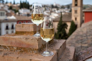İspanya 'nın güneyindeki Endülüs şehrinin çatıları ve evleri manzaralı tatlı ve kuru şarap tatmak.