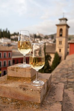 İspanya 'nın güneyindeki Endülüs şehrinin çatıları ve evleri manzaralı tatlı ve kuru şarap tatmak.