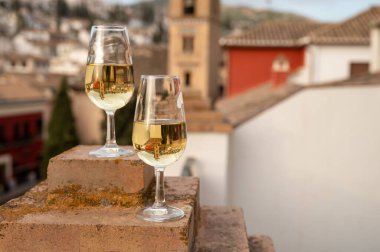 İspanya 'nın güneyindeki Endülüs şehrinin çatıları ve evleri manzaralı tatlı ve kuru şarap tatmak.