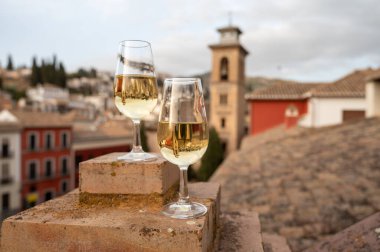 İspanya 'nın güneyindeki Endülüs şehrinin çatıları ve evleri manzaralı tatlı ve kuru şarap tatmak.