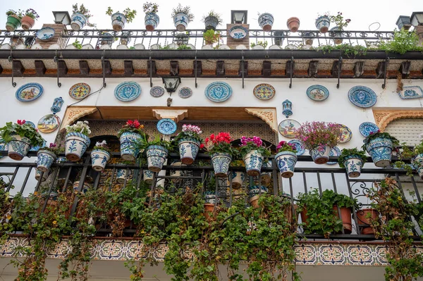Bahar ayında eski dünya mirası şehri Granada, Endülüs, İspanya 'da yürüyüş