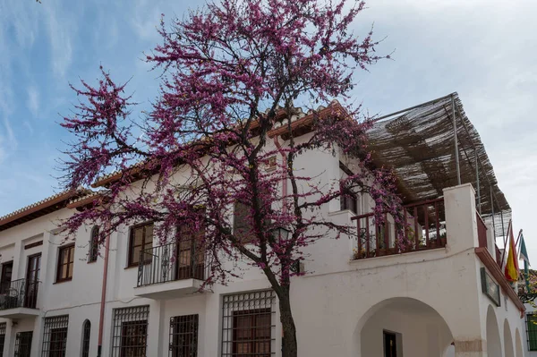 春天漫步在西班牙安达卢西亚格拉纳达的世界文化遗产城中央 — 图库照片