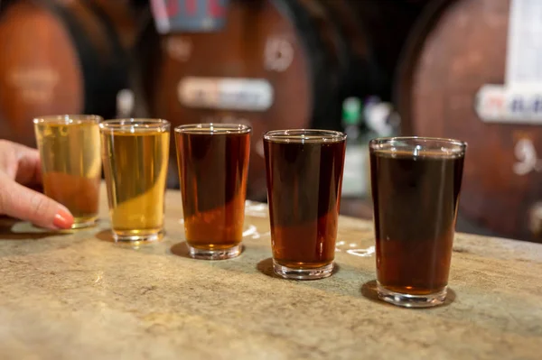 Tasting Different Sweet Wines Wooden Barrels Old Bodega Wine Bar — Photo
