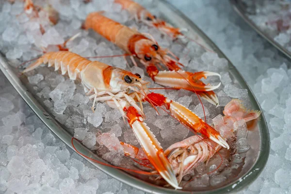 Fresh crayfishes with claws from river on ice in restaurant