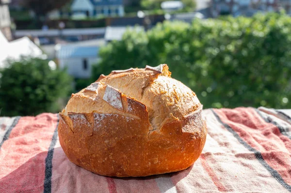 Witte Tarwe Ronde Gebakken Boeren Brood Pijn Van Ambachtelijke Franse — Stockfoto