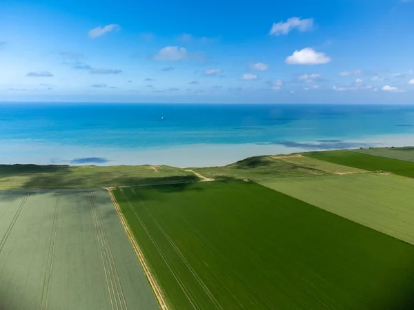 Flygfoto Över Gröna Sädesfält Och Blå Atlanten Jordbruksregionen Pays Caux — Stockfoto