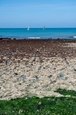 Alçak gelgit dönemi ve okyanusun dibindeki beyaz taşların manzarası ve Fransa 'nın Normandiya eyaletindeki Porte d' Aval kemerinin tebeşir kayalıkları. Turistler için tatil yeri.