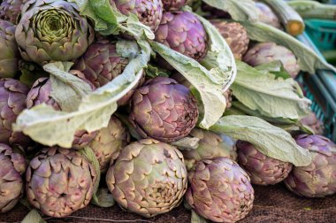 Fransa 'nın Provence kentindeki çiftçi pazarında satılacak taze çiğ enginar fabrikaları.