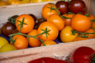Renkli Fransız olgun domatesleri Cassis, Provence, Fransa 'daki Provencal pazarında çeşitli ürünlerde. Kapatın.