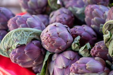 Fransa 'nın Provence kentindeki çiftçi pazarında satılacak taze çiğ enginar fabrikaları.