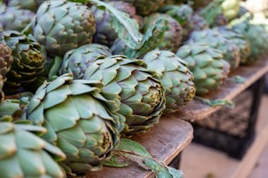 Fransa 'nın Provence kentindeki çiftçi pazarında satılacak taze çiğ enginar fabrikaları.