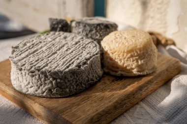 Fransız keçi peyniri crottin ve selles-sur-cher Cassis, Provence, Fransa 'nın limanındaki teknelerde peynir tatma ile servis edilir.