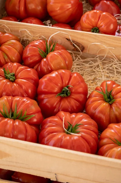 Colorido Francês Maduro Saboroso Tomates Sortimento Mercado Provençal Cassis Provence — Fotografia de Stock