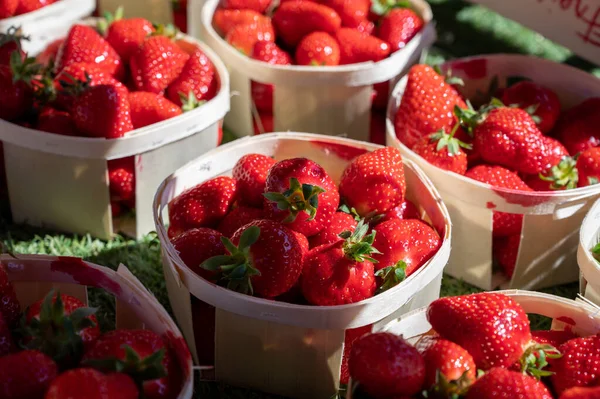 Sweet Ripe French Red Strawberries Wooden Boxes Provencal Farmers Market — Stockfoto