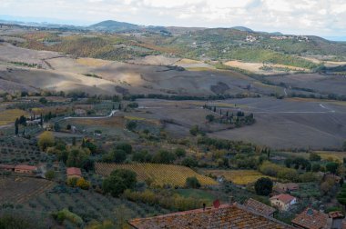 İtalya 'da Montepulciano, Toskana yakınlarındaki tepe ve üzüm bağlarının manzarası