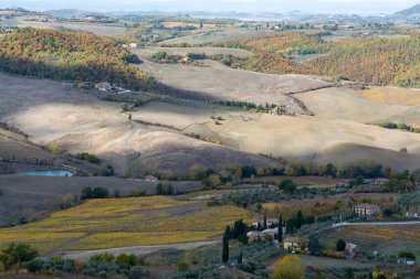 İtalya 'da Montepulciano, Toskana yakınlarındaki tepe ve üzüm bağlarının manzarası