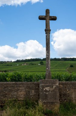 Burgundy şarap bölgesinde Nuits-Saint-Georges yakınlarında taş duvarları olan ünlü Clos pinnot noir üzüm bağları, Fransa