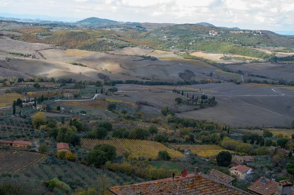 Vista Sobre Colinas Vinhedos Perto Cidade Velha Montepulciano Toscana Outono — Fotografia de Stock