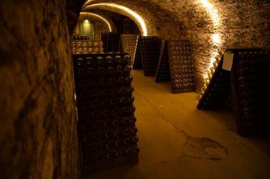 Avusturya, Viyana 'daki yeraltı mahzenlerinde geleneksel yöntemlerle beyaz şarap üretimi yapılıyor.