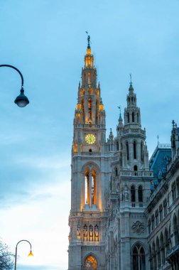 Avusturya 'nın başkenti Viyana, bulutlu bir günde şehrin merkezindeki binaların mimari ve dekorasyon unsurları