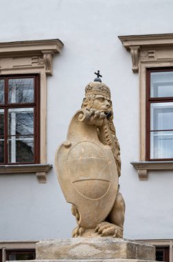 Avusturya 'nın başkenti Viyana, bulutlu bir günde şehrin merkezindeki binaların mimari ve dekorasyon unsurları