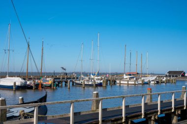 Hollanda 'nın küçük Marken kasabasında güneşli bir bahar gününde eski Hollanda, Hollanda' da bulunan ahşap evlerle yürüyorum.