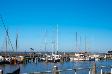 Hollanda 'nın küçük Marken kasabasında güneşli bir bahar gününde eski Hollanda, Hollanda' da bulunan ahşap evlerle yürüyorum.