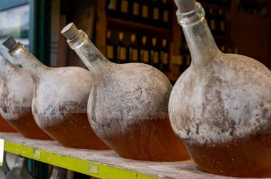 Avusturya 'nın başkenti Viyana' da yerel üzümlerden üretilen beyaz şaraplı büyük şişeler.