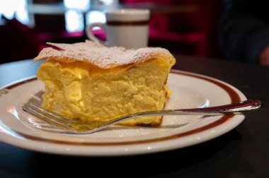 Avusturya 'nın Viyana kentindeki geleneksel kafede bir fincan sade kahveyle servis edilen beyaz peynirli turtayla dolu Avusturya tatlısı.