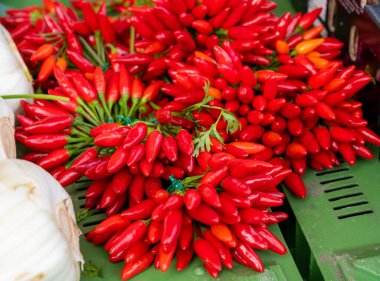 Piyasada satılık bir sürü kırmızı kırmızı biber.